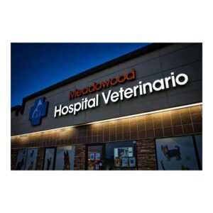 Letrero 3D con letras volumétricas para veterinarias y pet shops en Santo Domingo